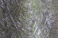 Dalintart fibreglass roof work